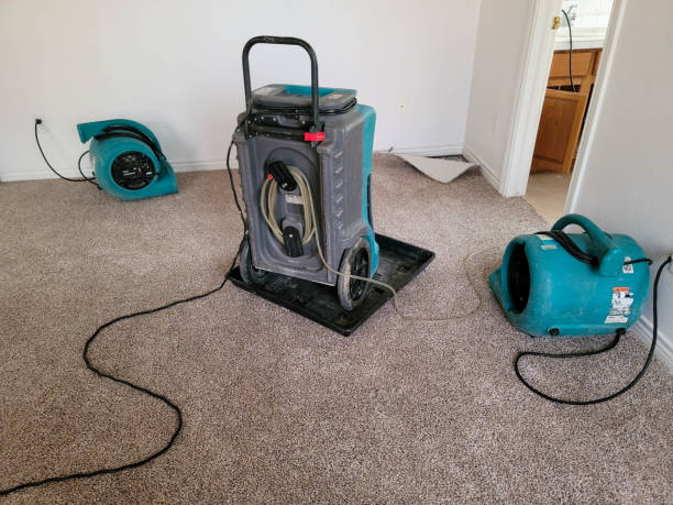 Best Residential water damage restoration  in Orcutt, CA