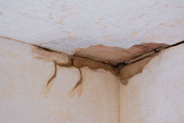 Best Water damage restoration mold remediation  in Orcutt, CA