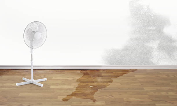 Best 24/7 water damage repair  in Orcutt, CA