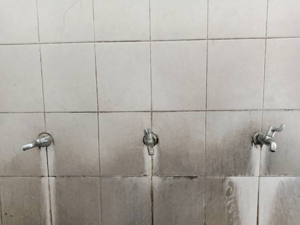Carpet water damage restoration in Orcutt, CA
