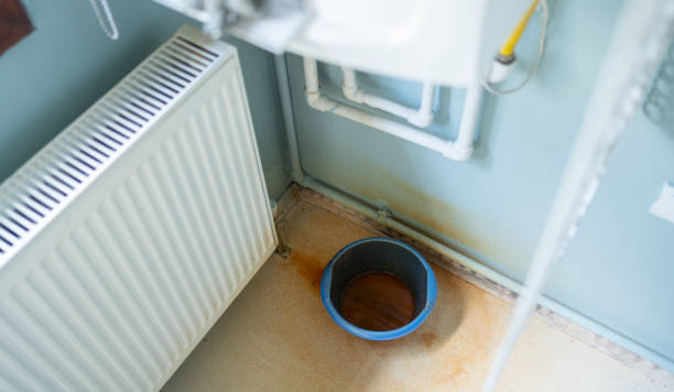 Best Mold removal after water damage  in Orcutt, CA