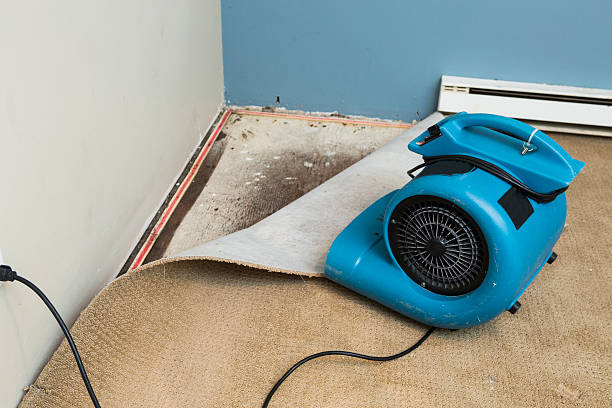 Water damage restoration experts in Orcutt, CA